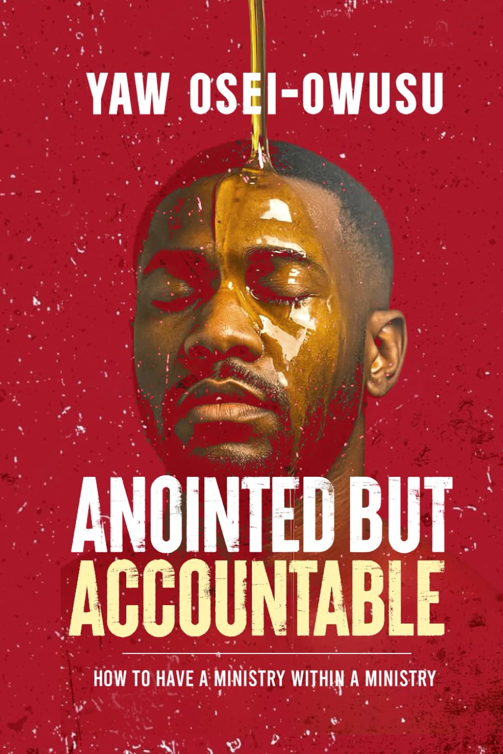 Anointed But Accountable: How to Have a Ministry within a Ministry