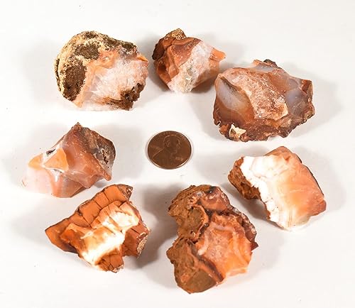 Miniatura 2 de Ágata cornalina naranja roja piedras ásperas de cristal natural Cabujones de piedras preciosas minerales Cabujones de muestras de roca - Madagascar