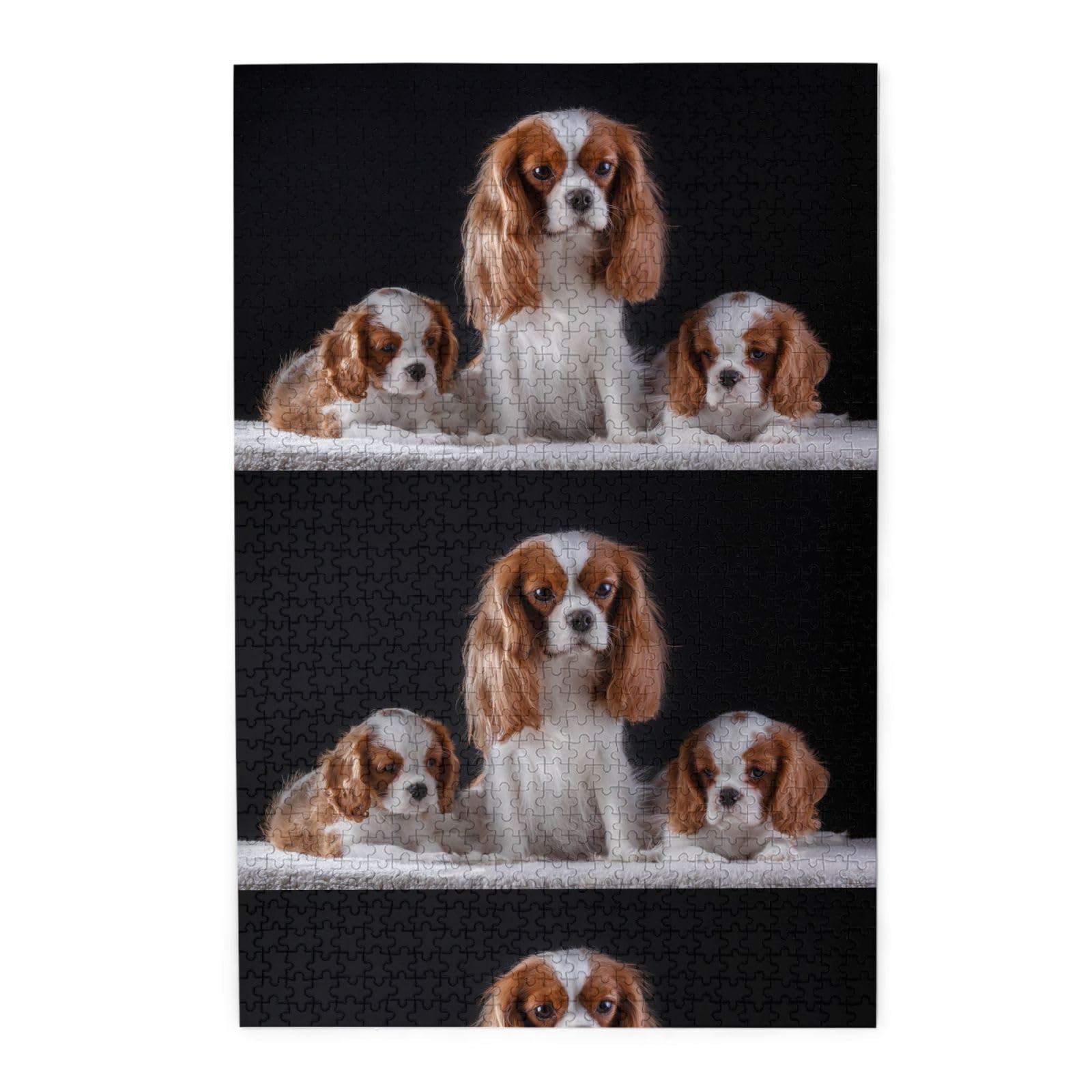Cavalier King Charles Spaniel, mamma con cuccioli, puzzle da 1000 pezzi per adulti, puzzle impegnativi, puzzle a incastro