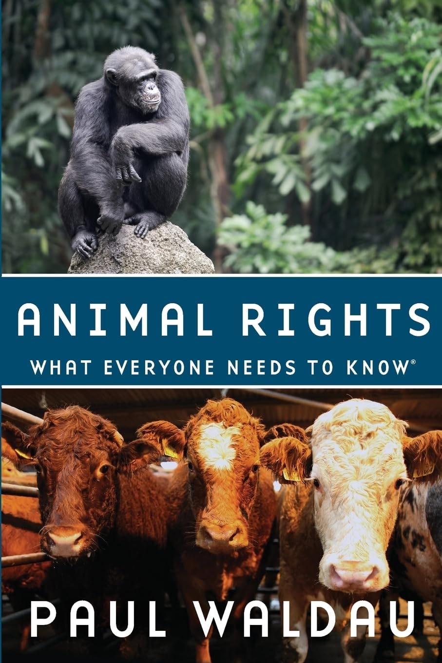 Animal Rights What Everyone Needs to Know