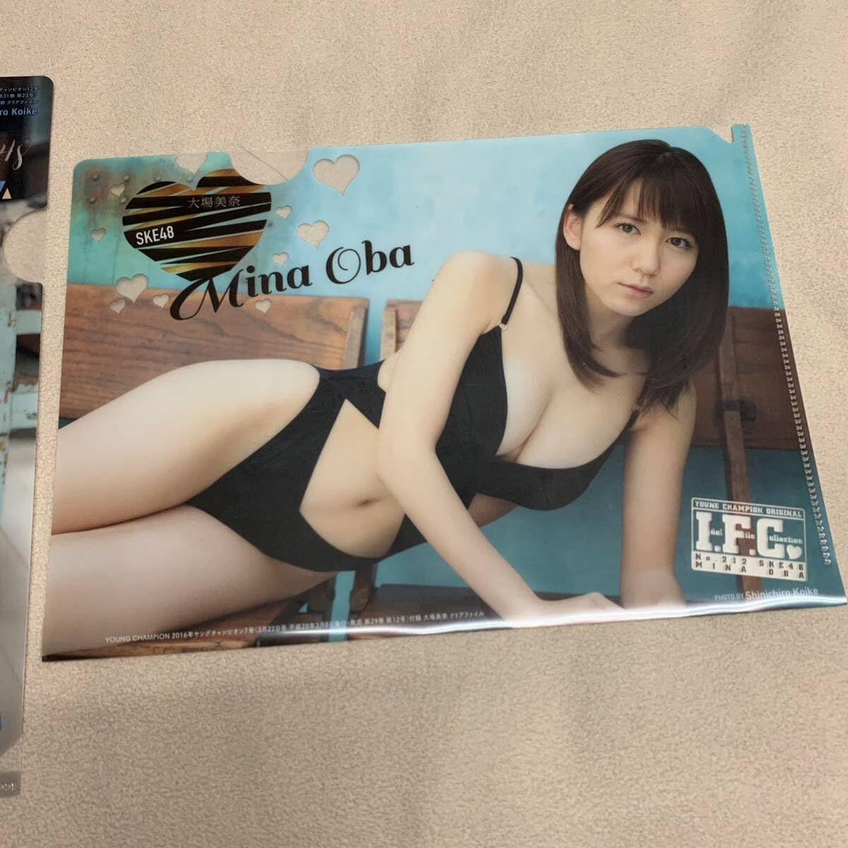 YOUNG CHAMPION 付録 アイドルクリアファイル 38冊 【公式通販】