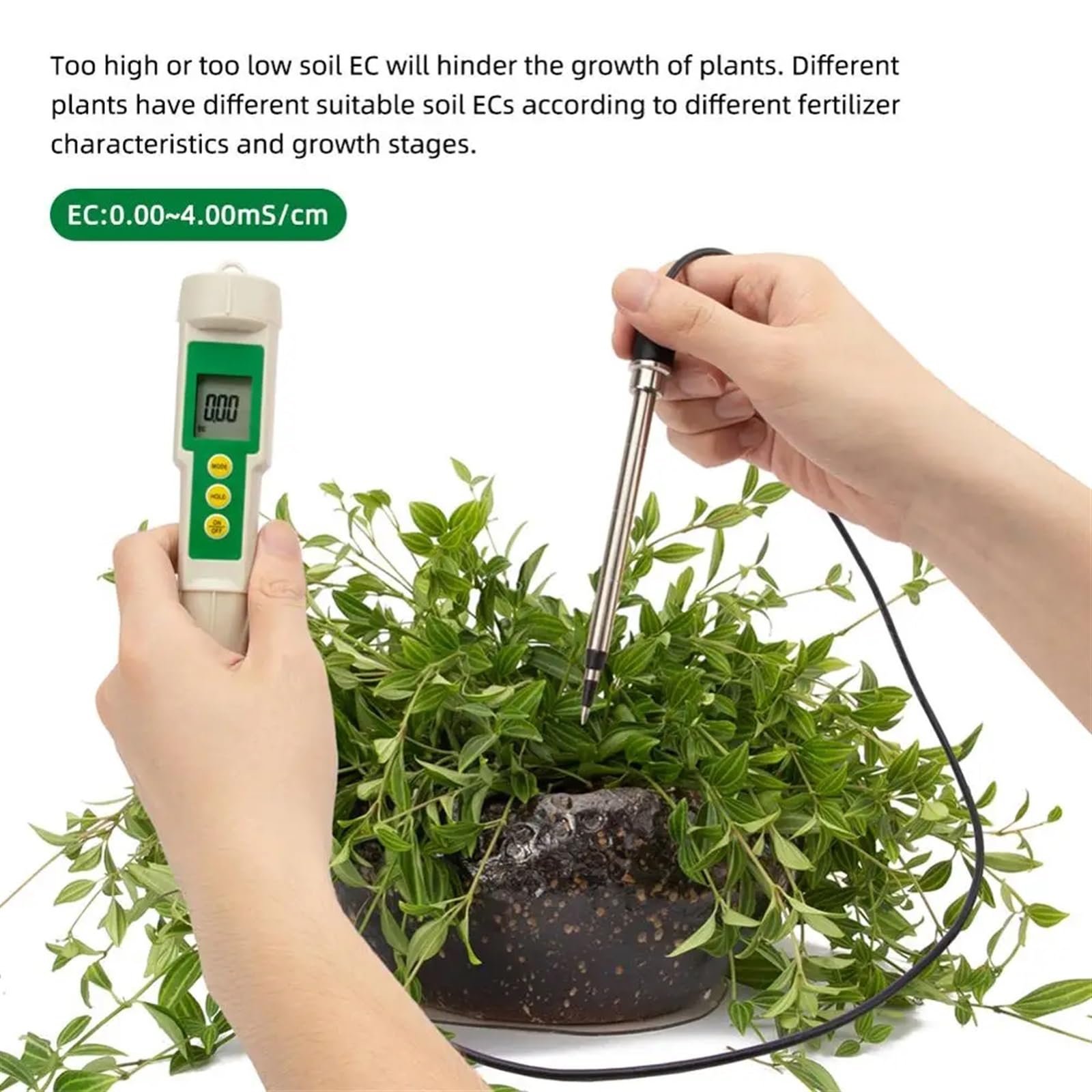 EC-3185 Misuratore di suolo impermeabile Tester di suolo EC/TDS/CF con sonda for coltivazione in serra, coltivazione di orticoltura, laboratorio,Giardino,Prato,Interno,Uso esterno