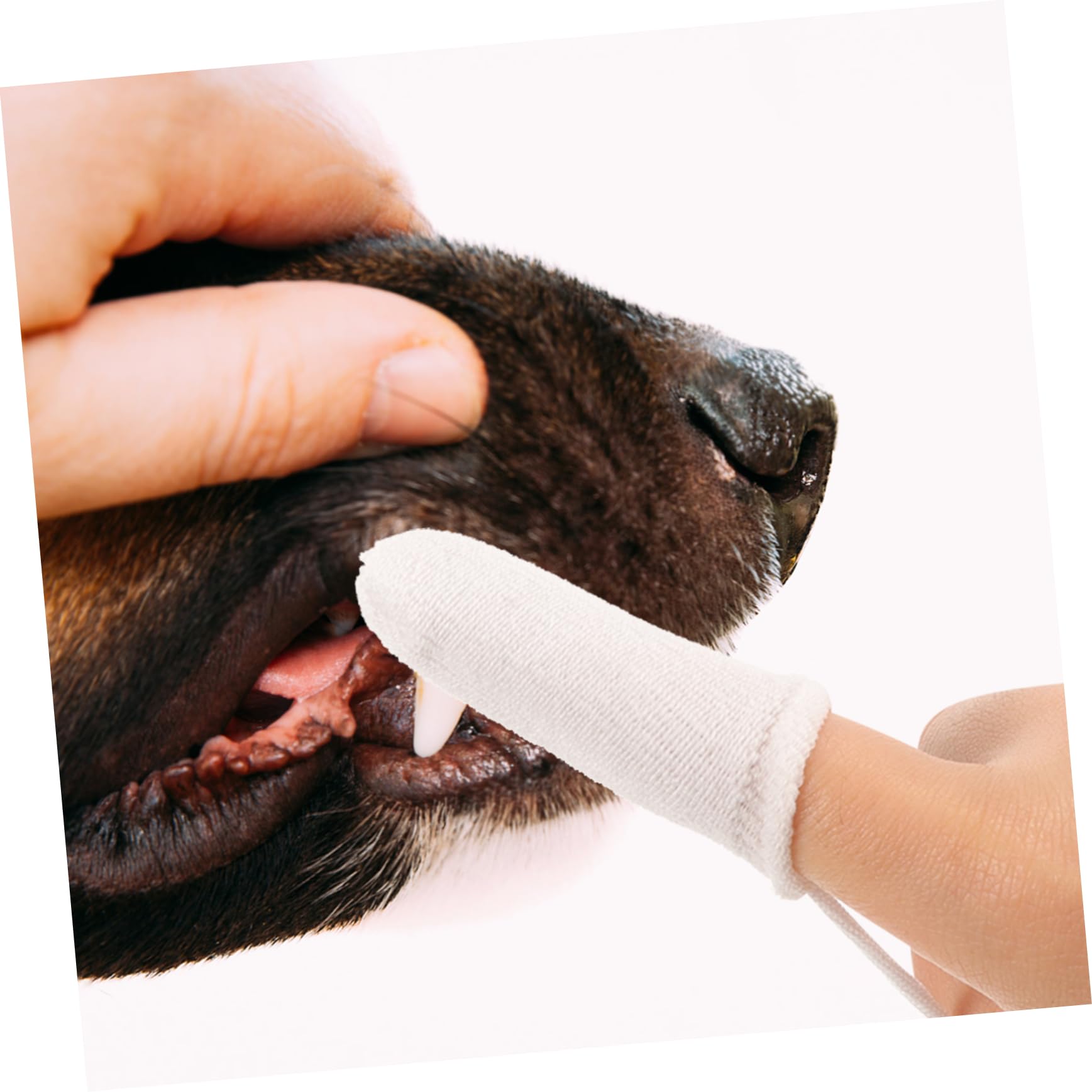 Sosoport 10pcs Pet Cleaning Gloves Extra Soft Nylon Dog Toothbrush Puppy Brush Cat Toothbrush Tooth Brush for Dogs