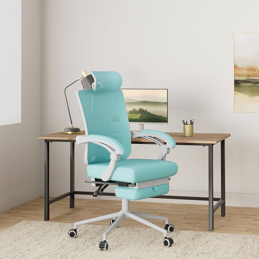 Amazon.com: Misolant Ergonomic Office Chair with Footrest