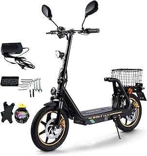 TWOFISH E Scooter mit EEC Zulassung, 500W Elektro Scooter mit 48V 13Ah Akku, 30 km Reichweite, 14" Reifen, doppelte Federung, 3 Geschwindigkeiten, Elektroroller Erwachsene mit LED-Display (Schwarz)
