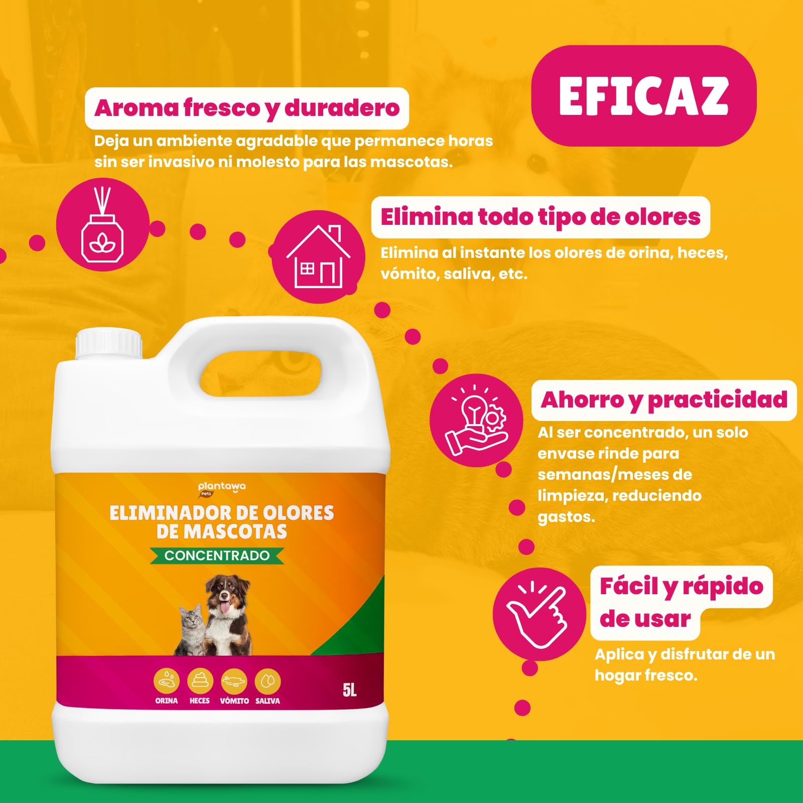 PLANTAWA Eliminador de Olores de Mascotas Concentrado 5L | Limpiador enzimático para orina perros y gatos | Neutralizador de olores hogar, alfombras, sofás y coche | Fórmula eficaz y segura