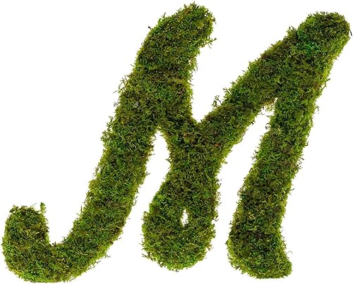 Iniciales de monograma preservadas Moss Letter Art Design & Decor Arreglo de pared - Personalízalo