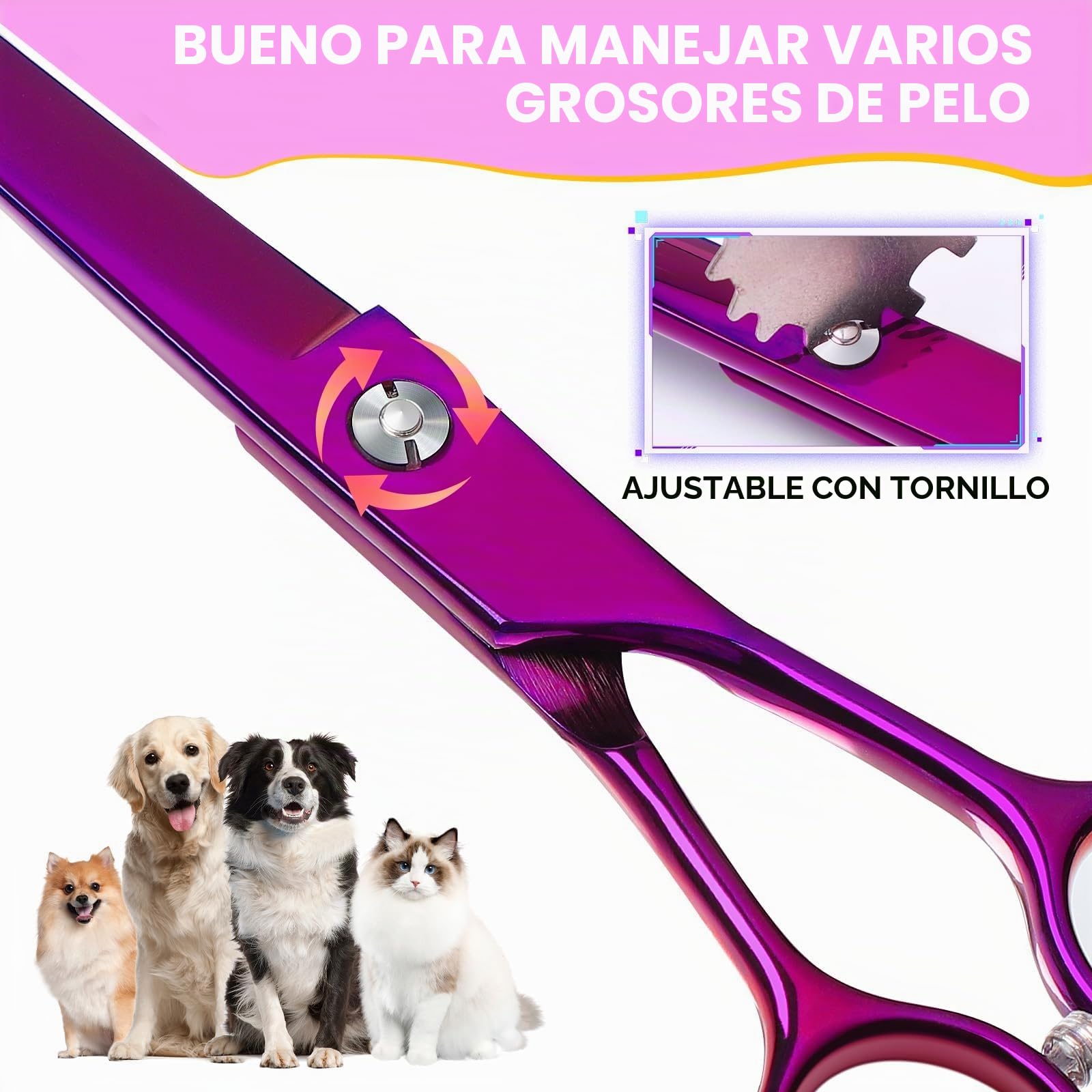 JASON Profesional curvada tijeras para perros - 7.5" tijeras de peluquería canina de acero inoxidable japonés tijeras de peluquería de mascotas tijeras para perros gatos (curvada hacia abajo, púrpura)