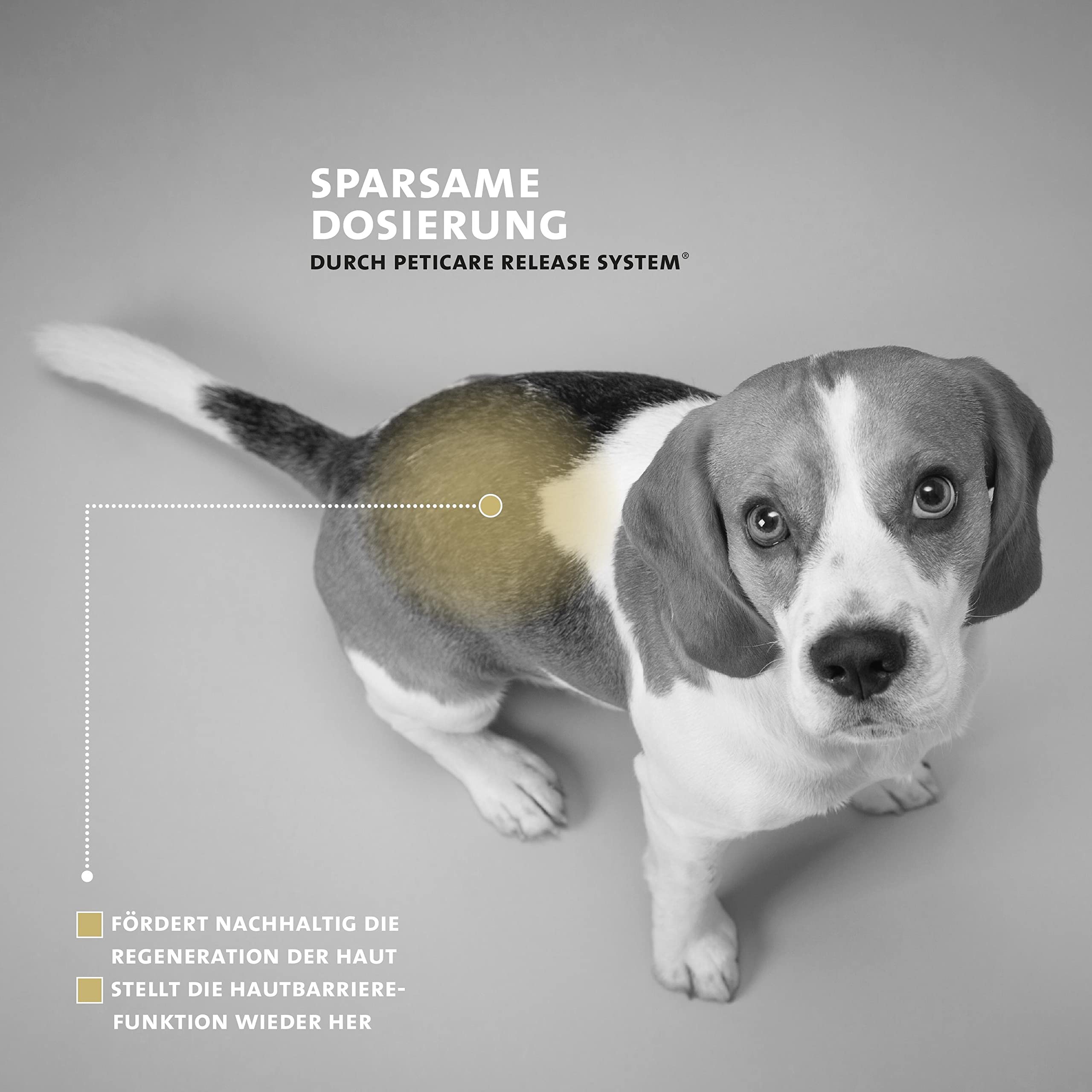 Peticare Hot-Spot Balsam für Hunde | speziell bei Hotspots & Ekzemen Aller Art | lindert Juckreiz & unterstützt Regenerationsprozess | einzigartiges PRS® System für Lange Wirkung - petDog Health 2109