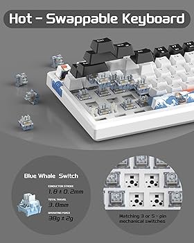 QYマステ　sky1204 QYマステ sky1204 Amazon.com: MageGee SKY98 Wireless Gasket