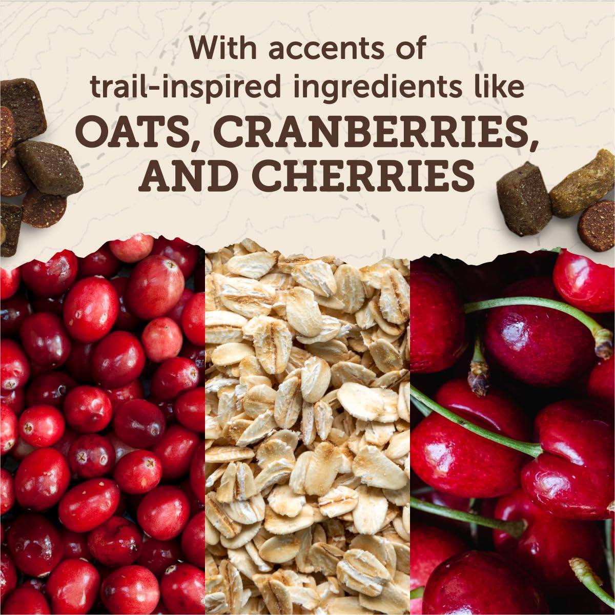 Zuke’s Trail Mix Pet Treats for Dogs, Soft Dog Treats with Real Chicken Recipe - 16 oz. Pouch - image 7