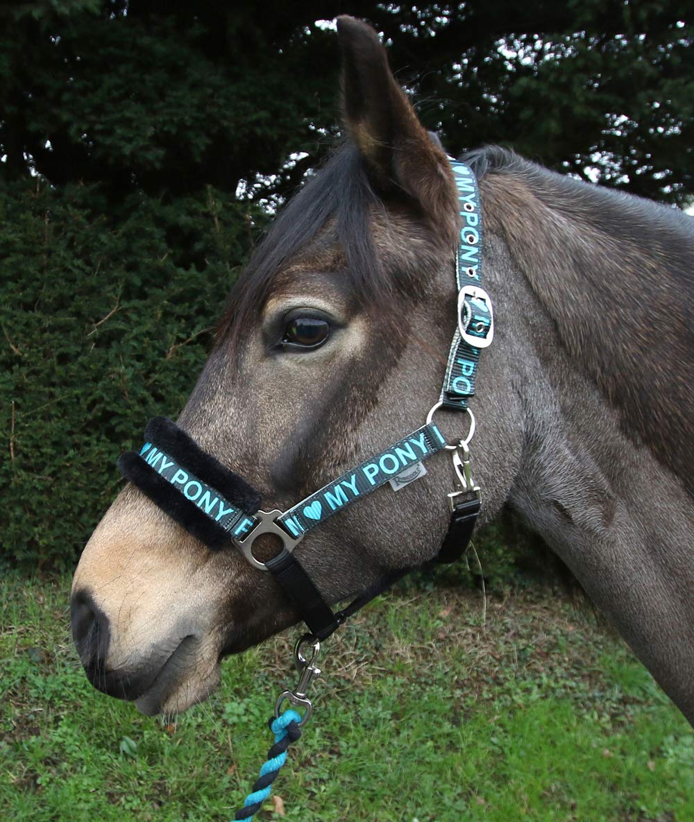 Rhinegold Love My Pony Headcollar & Rope Set