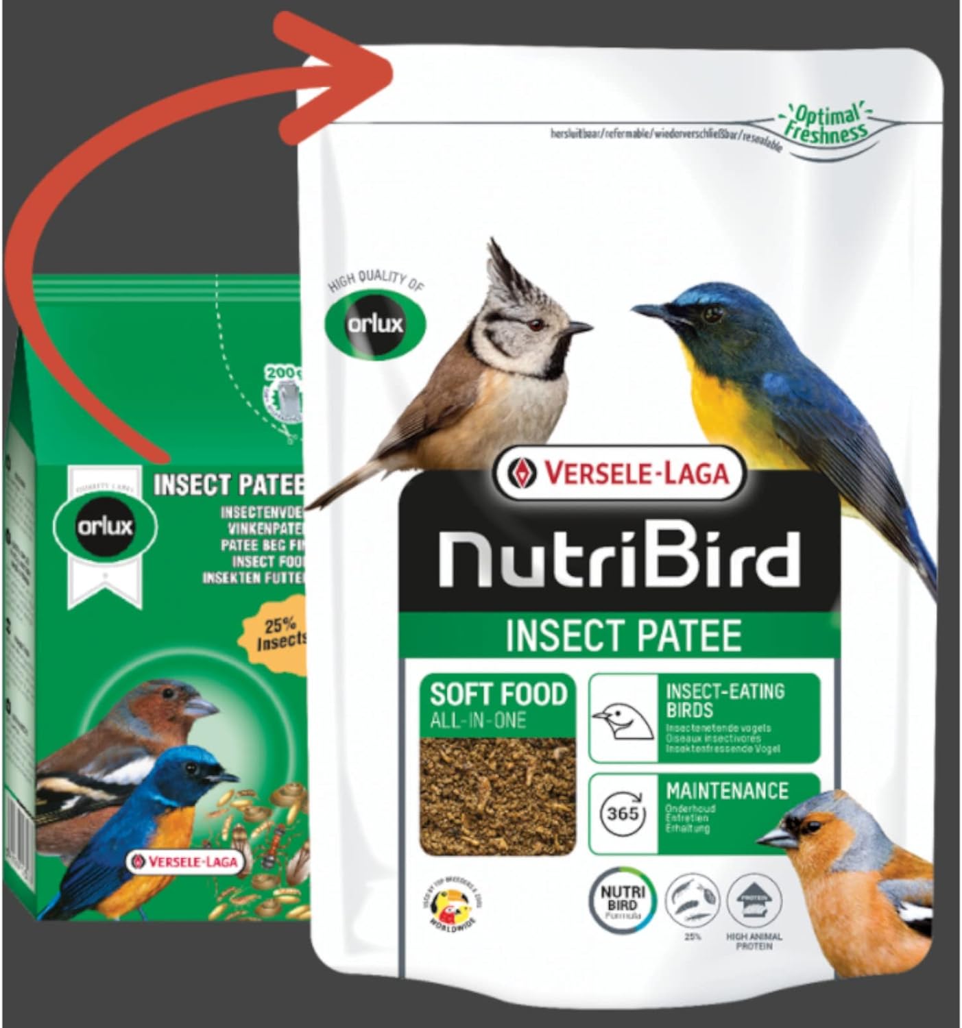 Nutribird Insect Patee Insectos 1kg
