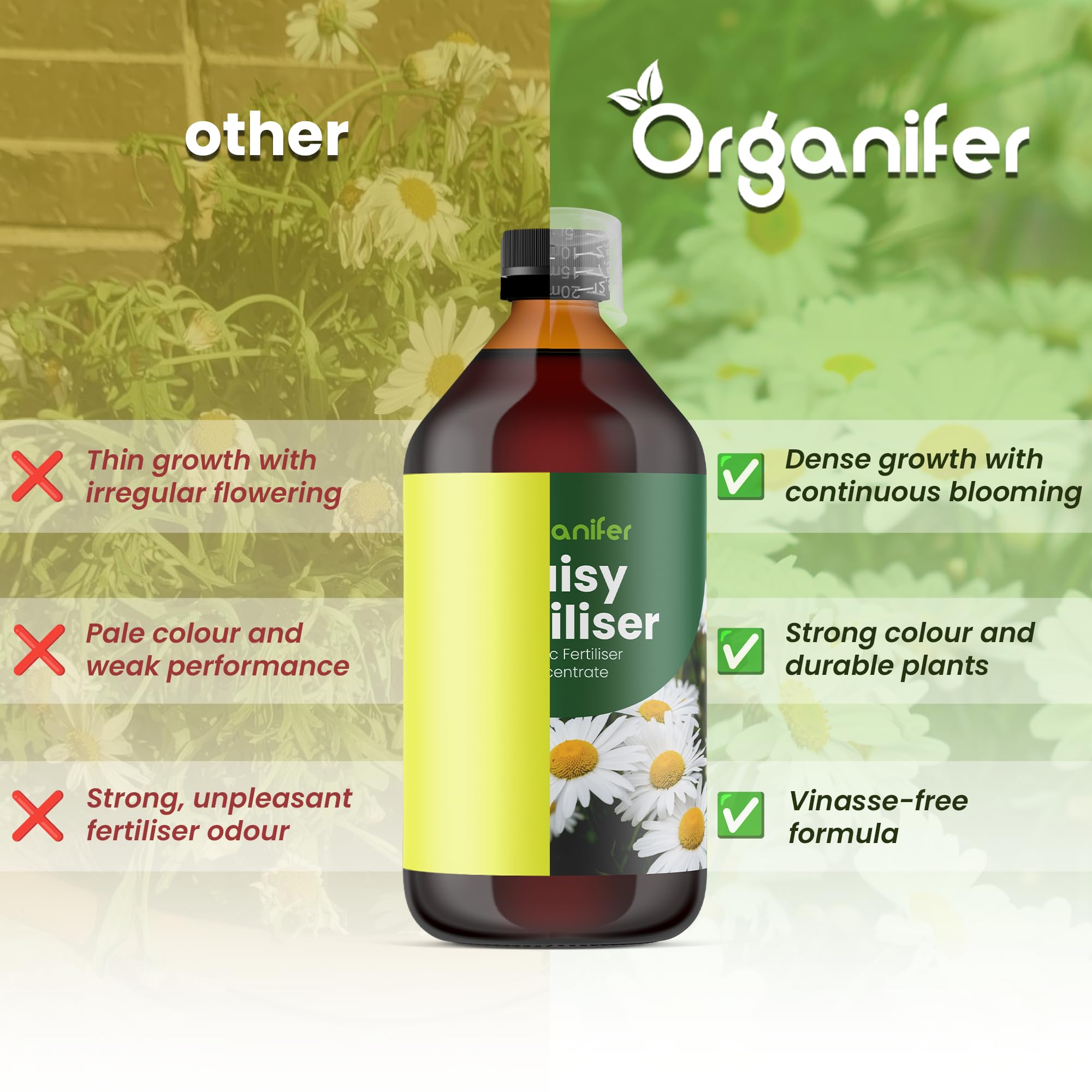 Stokrotka Nawóz Płynny - 4x1L - NPK 2-1-8 | Nawóz Płynny Do Roślin Dla Zdrowych Liści I Obfitego Kwitnienia - Wspiera Korzenie I Witalność - Organifer