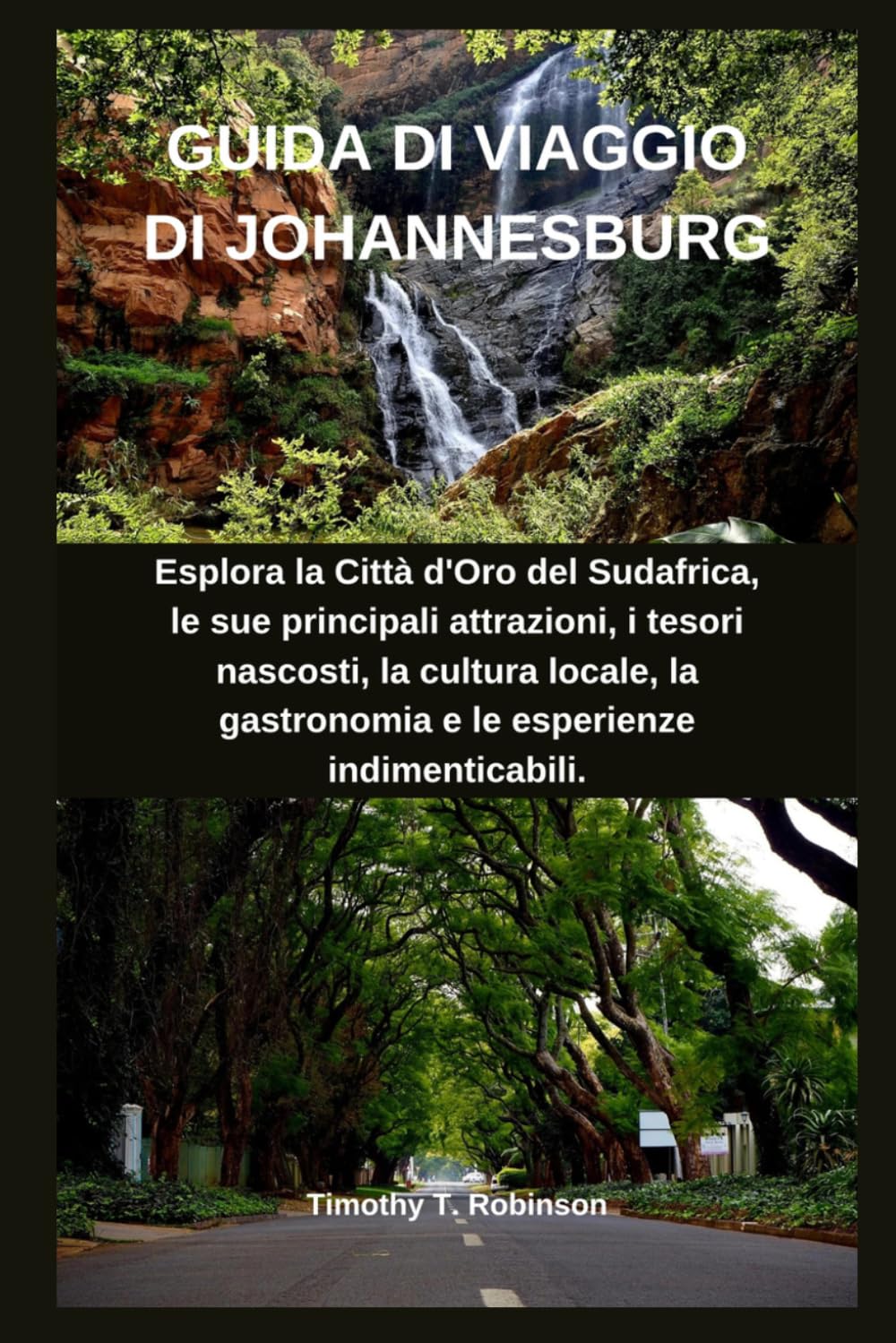 GUIDA DI VIAGGIO DI JOHANNESBURG: Esplora la Città d'Oro del Sudafrica, le sue principali attrazioni, i tesori nascosti, la cultura locale, la gastronomia e le esperienze indimenticabili.