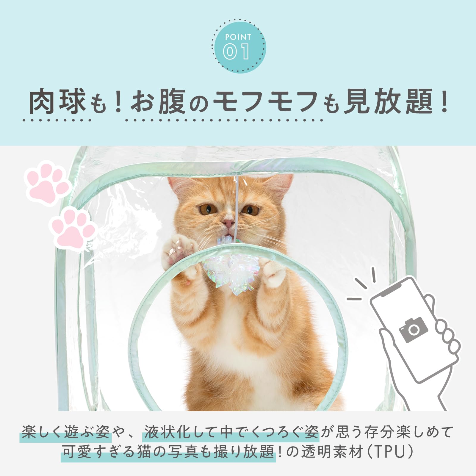 Amazon.co.jp: 猫壱 キャットプレイキューブ クリア : ペット用品