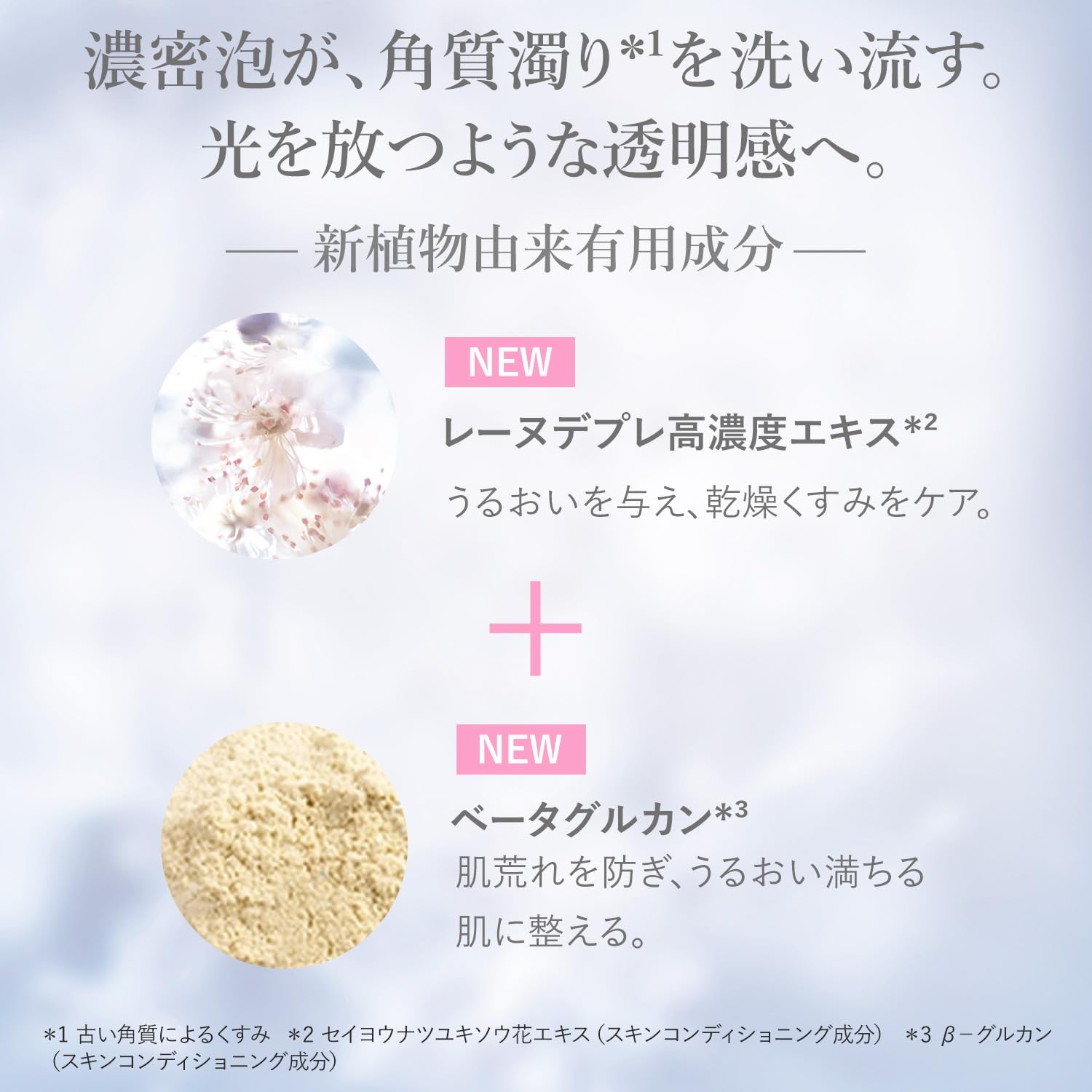 Amazon.co.jp: ロクシタン(L'OCCITANE) レーヌデプレ イルミネ