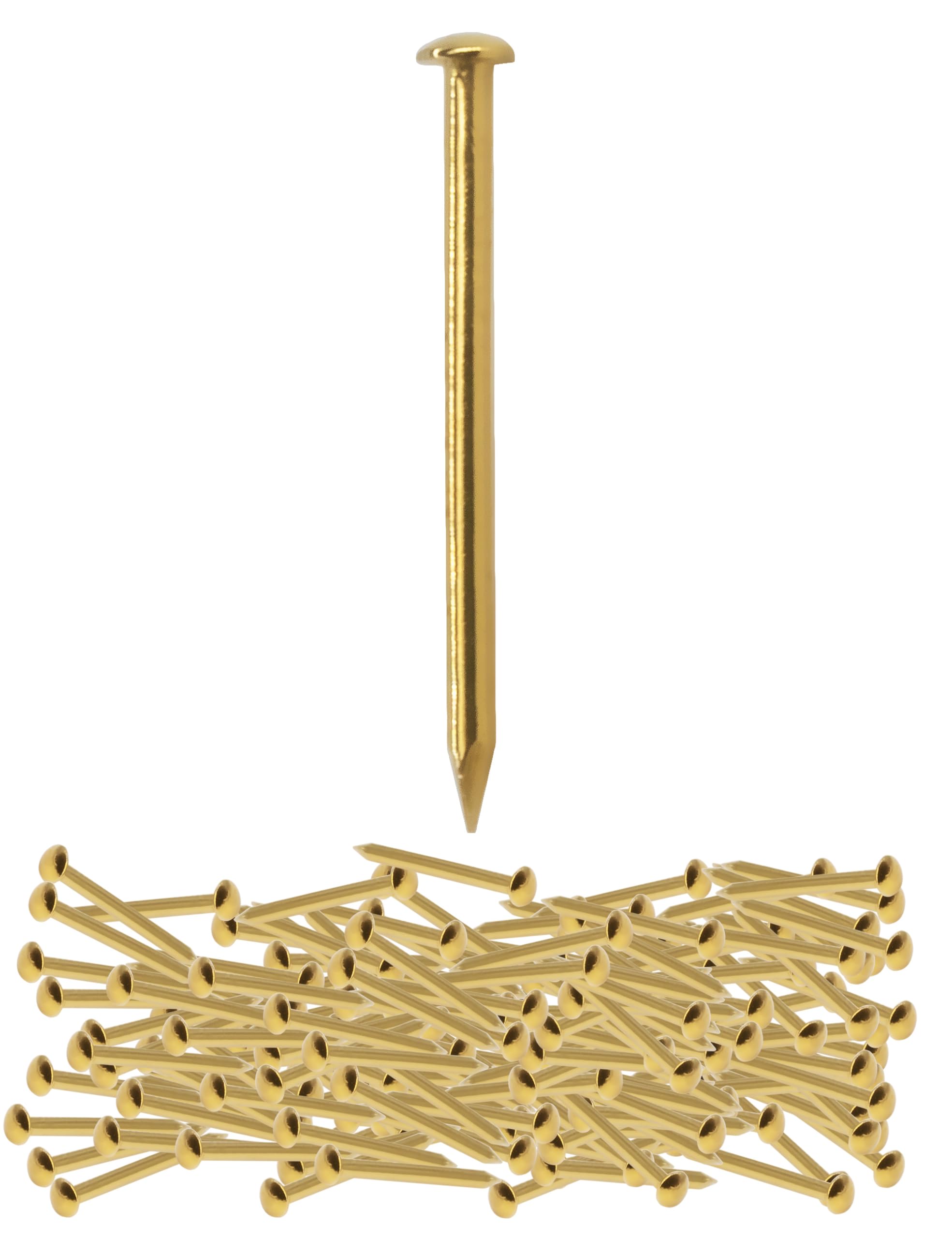 FUXXER 100 chiodi in ottone dorato, antiruggine, piccole unghie decorative, per mobili, fai da te, 20 x 2 mm