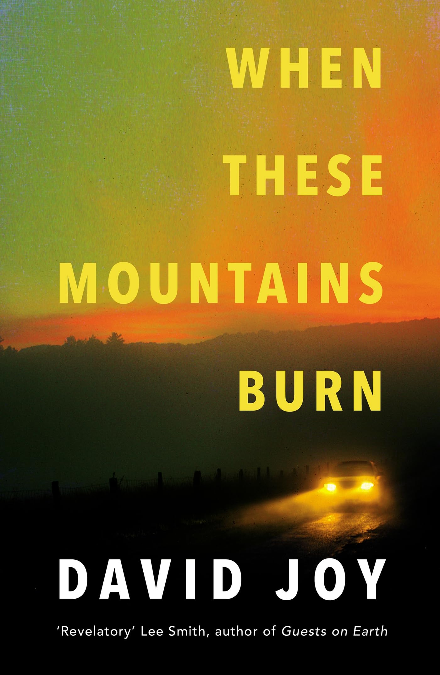 When These Mountains Burn: The literary crime thriller from the prizewinning master of American noir fiction