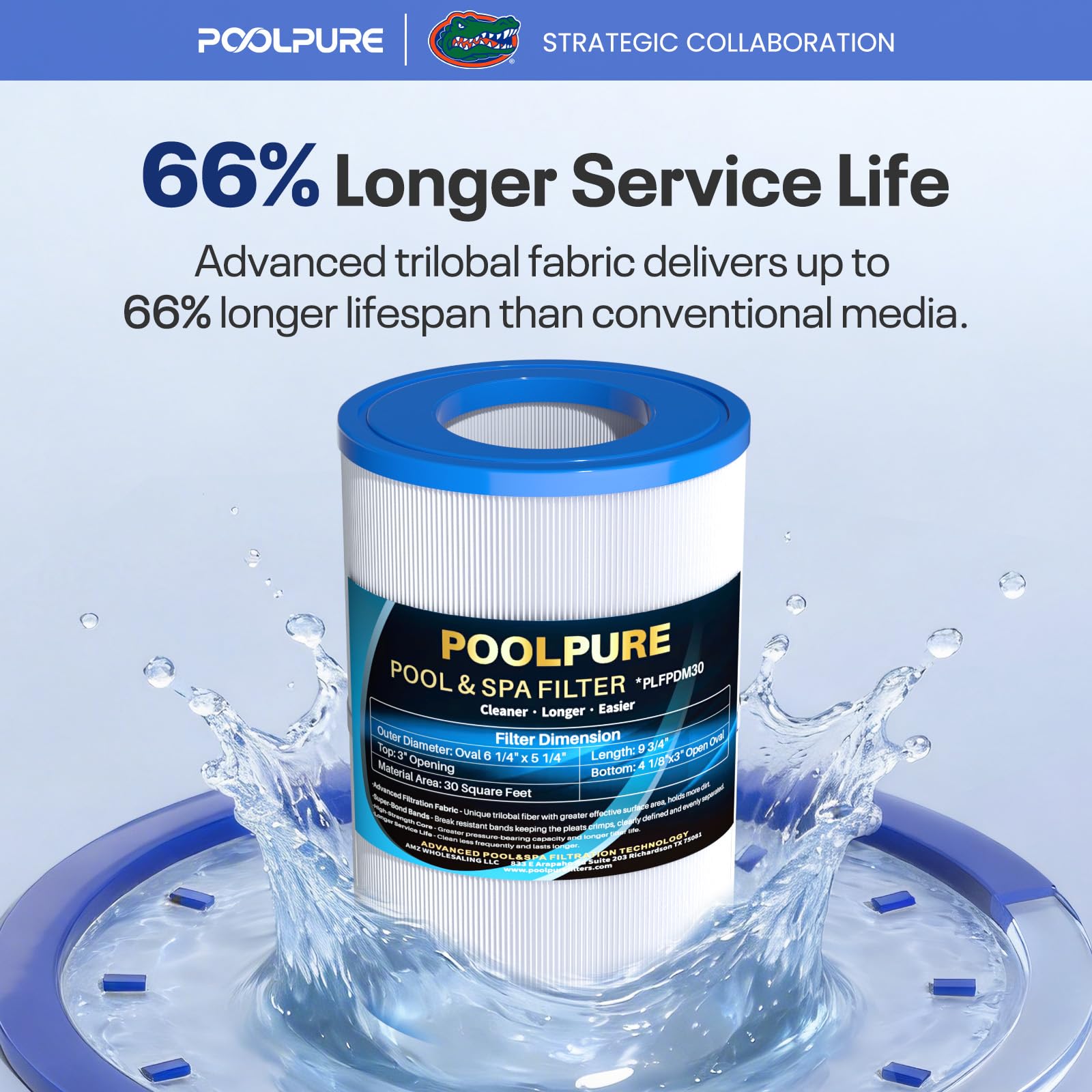 POOLPURE Lot de 2 filtres ovales PDM30 compatibles avec Les jacuzzis Dream Maker 461269, 30 m²