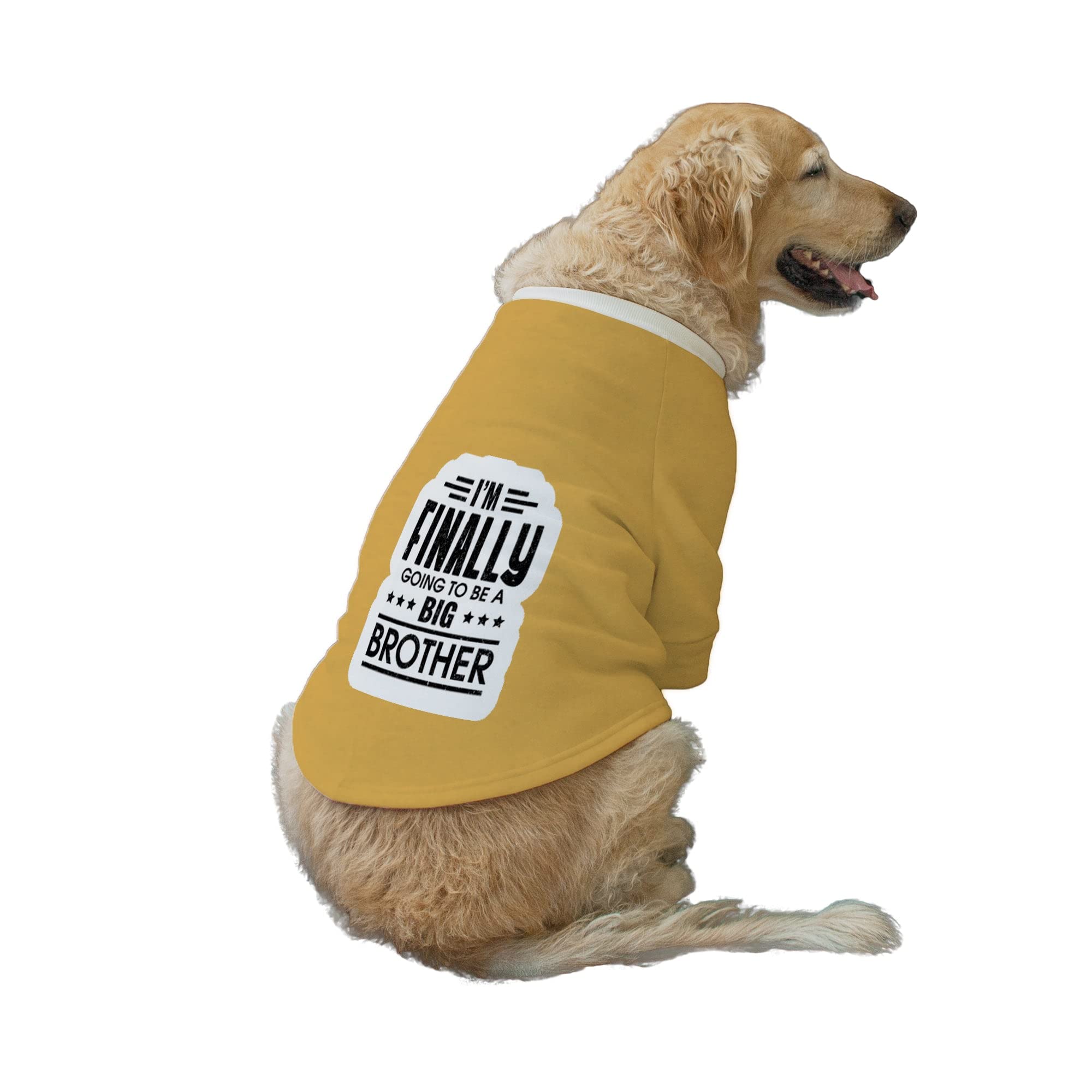 Ruse Im Finally Going to be a Big Brother Printed Round Neck Full Sleeves Technical Dog Jacket/Coat for Dog Clothes Winter Apparel Gift for Dogs/Yellow/XL (B09Q8MGTGL) Amazon Price History, Amazon Price Tracker