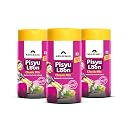 Namakwali Flavoured Pahadi Salt Classic Mix Seasoning, Pack of 3 -300 Gram | Pisyu Loon Seasoning mix for Popcorn, Noodles, Salad, Raita, Juice, Fruits, Makhana and more | 100% Organic | SharkTank India gallery image