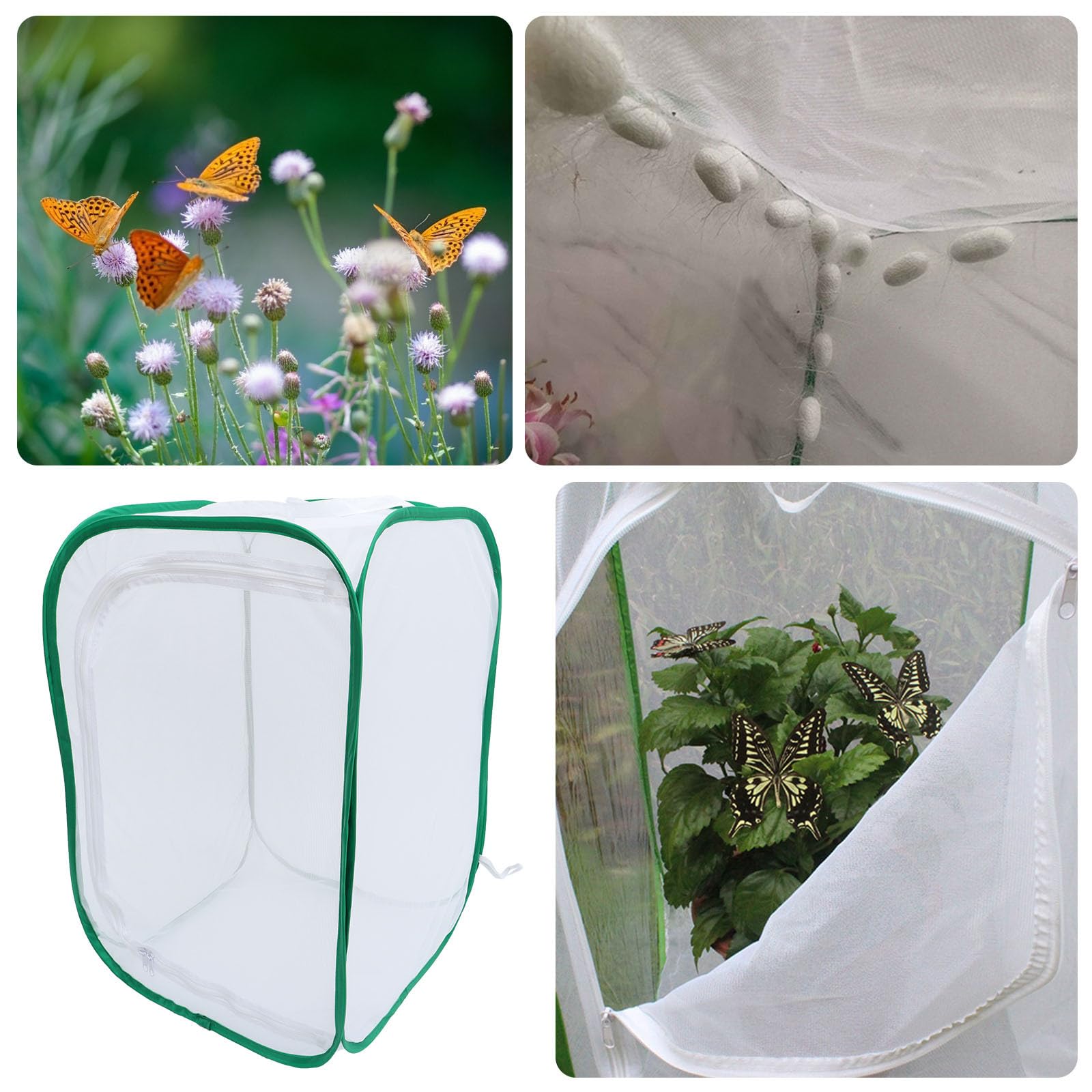Jaula Plegable para Mariposas 40x40x60 Cm Malla Transpirable para Incubadora de Plantas y Hábitat Insectos, Caja Protectora para Mascotas y Cultivo de Plántulas