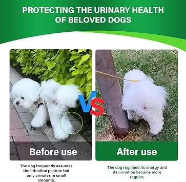 D-Mannose & Cranberry Supplement for Dogs, Urinary Tract & Bladder Support