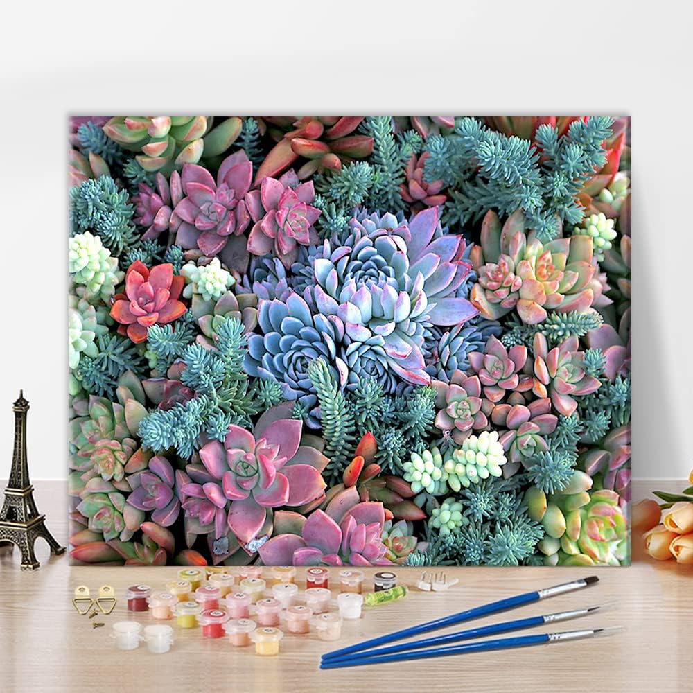 TUMOVO Paint by Numbers for Adults Flowers Paint by Numbers Succulents