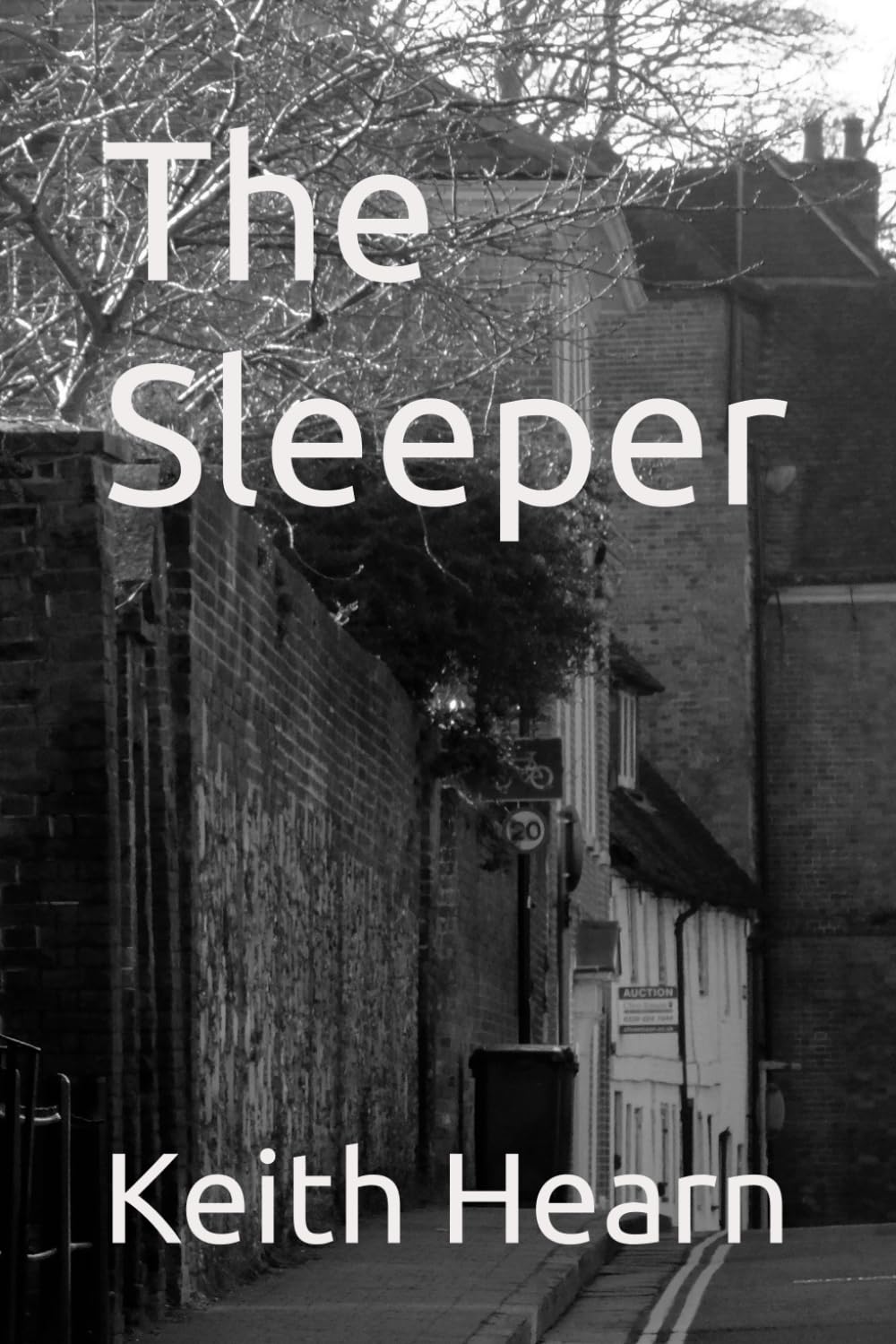The Sleeper