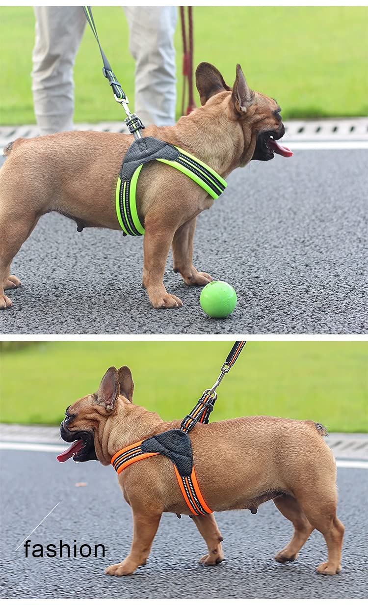 Cinturón de seguridad de perro de malla de nailon transpirable reflectante ajustable cinturón de seguridad y correa conjunto perro perro mascota collar correa perro accesorio XS greenset