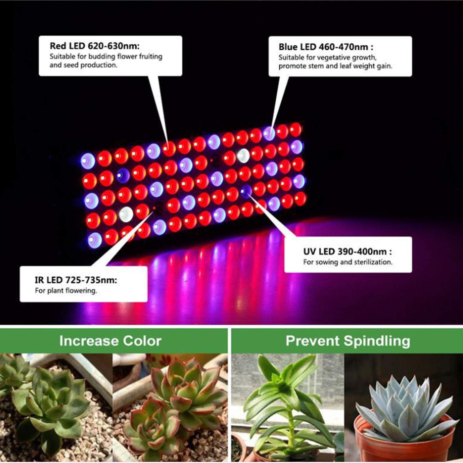Luz LED para cultivo de plantas, luz de crecimiento de plantas de espectro completo de 100 W, 75 luces LED para cultivo de plantas, utilizada para plantas de interior, hidroponía, invernaderos ( )