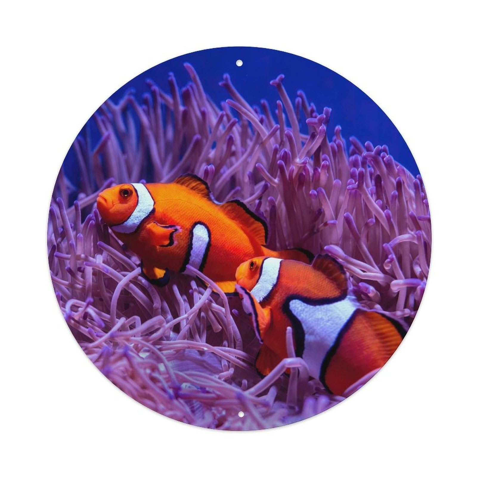 Ocean Clownfish Coral Reef Marine Life Classic Metal Tin Sign