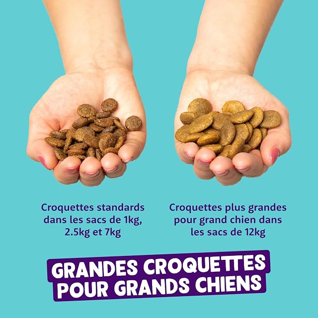 Foto 6 de 8 de Edgard & Cooper Croquetas para Perros (Pollo Fresco, 2,5 kg) sin Cereales, Carne Fresca y proteínas de Calidad
