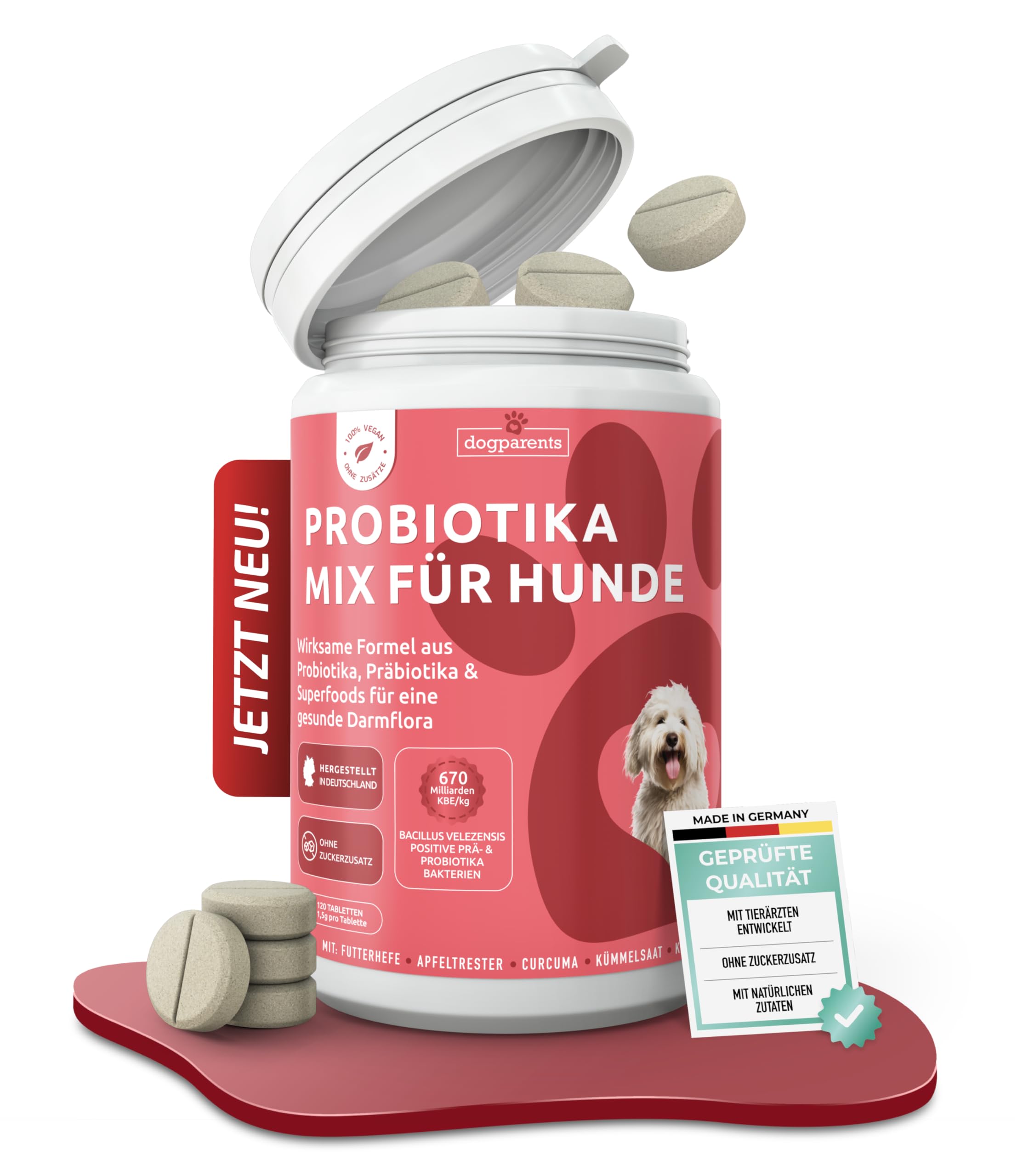 Prä & Probiotika Hund [MADE IN GERMANY, ZUCKERFREI & LABORGEPRÜFT] Darmkur mit 670 Mrd. KBE & Präbiotika – stärkt Darmflora & Verdauung – ideal nach Wurmkur, Grasfressen & Sodbrennen (180g (1er Pack))
