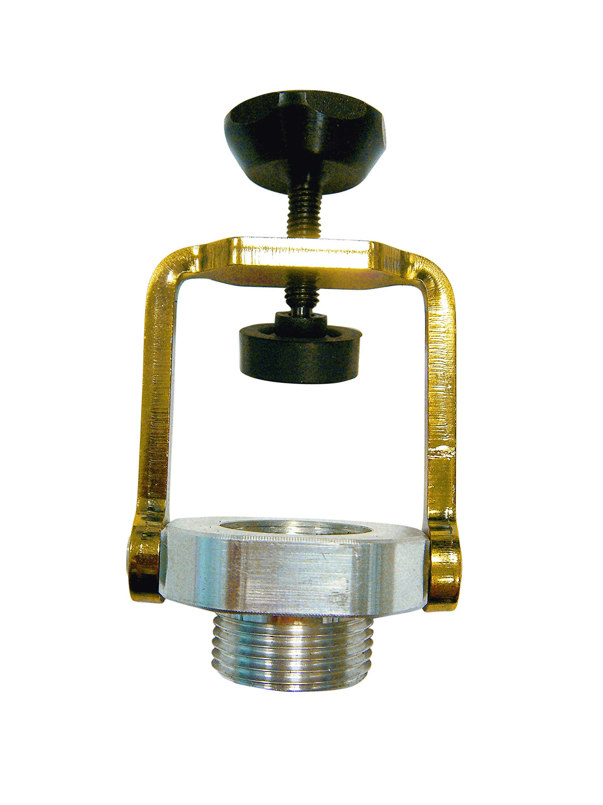 3/4'' Gold Zange