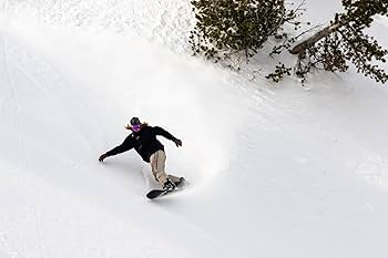 LIB TECH 　StumpApe157w Lib Tech / Stump Ape