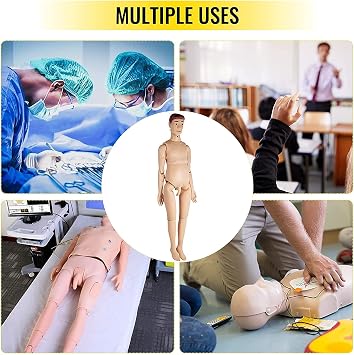 Multi-Functional Patient Care Simulator Male and Female Nursing Manikin Human Anatomical Model for Nursing Medical Training
