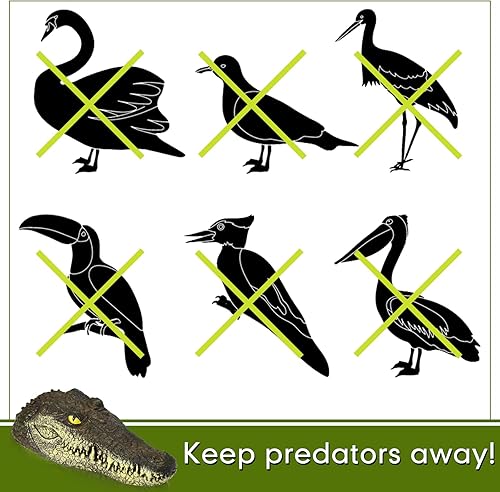 Miniatura 6 de Cabeza de cocodrilo flotante de 12.6 pulgadas, accesorios de piscina, cocodrilo falso, cabeza flotante de cocodrilo para ganso, garza, control de