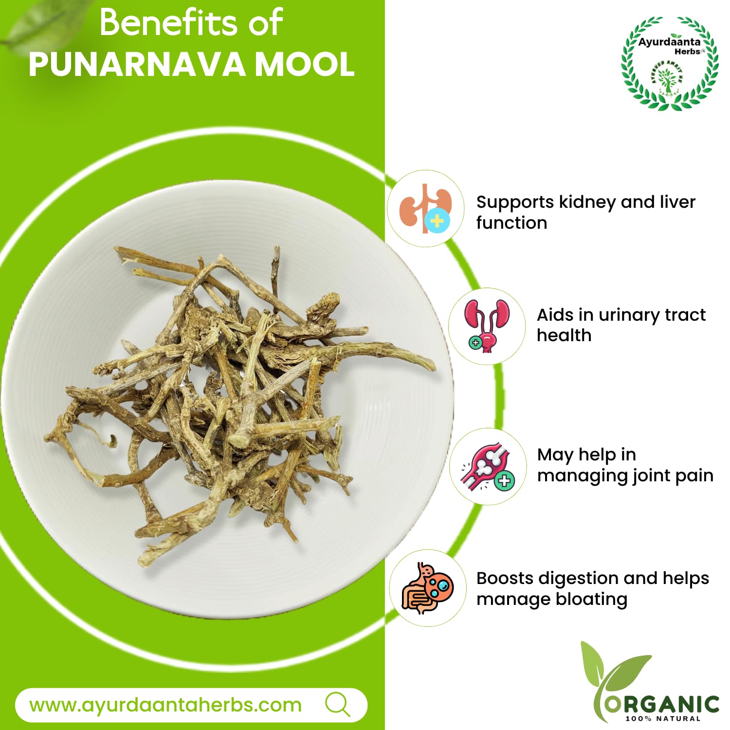 Ayurdaanta Herbs - Punarnava /पुनर्नवामूल | Punarnava Mool/पुनर्नवामूल - Helpful in Kidney, Liver & Spleen, Female Health (100 Gram) 3