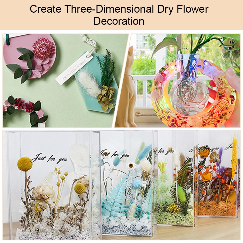 Set Di Fiori Secchi Naturali Per Decorazioni Fai Da Te - Fiori Pressati Multicolore Con Pinzetta - Foto 5