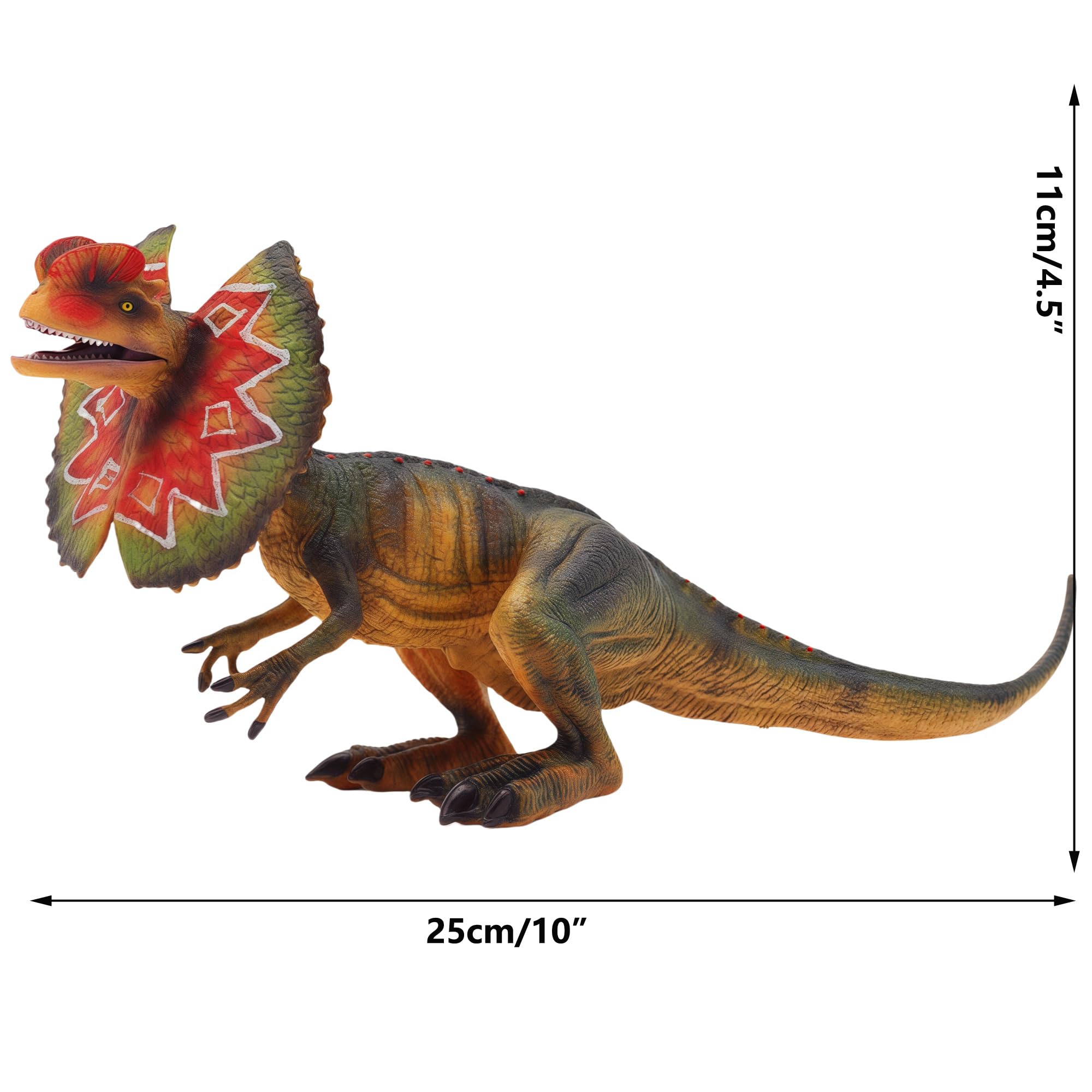 Gemini&Genius Dilophosaurus Action Figure - Dinosaur Toy -8