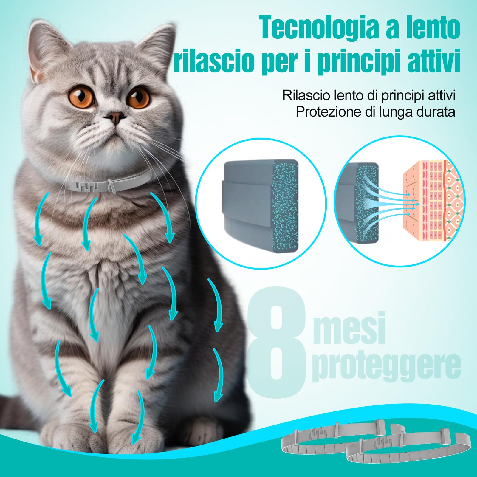 2 Pezzi Antiparassitario Per Cani,Collare Antipulci per Cane,Realizzato Con Oli Essenziali Naturali, Sicuro ed Efficace, Universale per Cani e Gatti,Protegge per 12 Mesi (piccolo cane e gatti)
