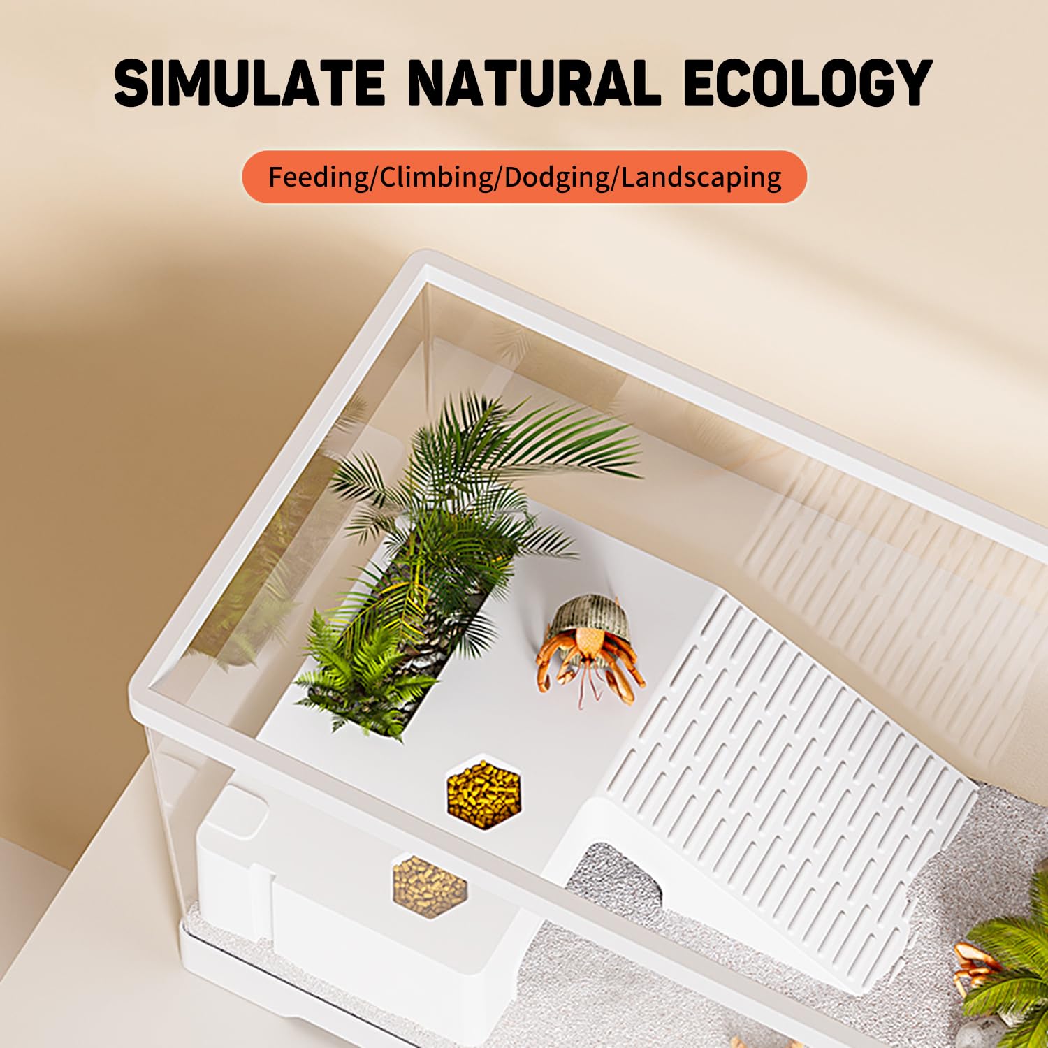 Aquarium pour Tortues avec Plateforme de Bain de Soleil et Drain au Fond 30 x 18 x 18,5 cm, Aquarium pour Jeunes Tortues, écrevisses, crabes, Amphibiens et Reptiles，Blanc - 5