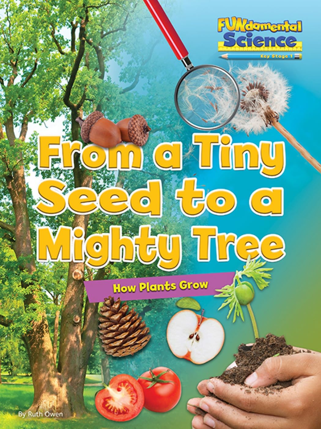 Fundamental Science Key Stage 1: From a Tiny Seed to a Mighty Tree: How Plants Grow 2016 (Fundamental Science Ks1)