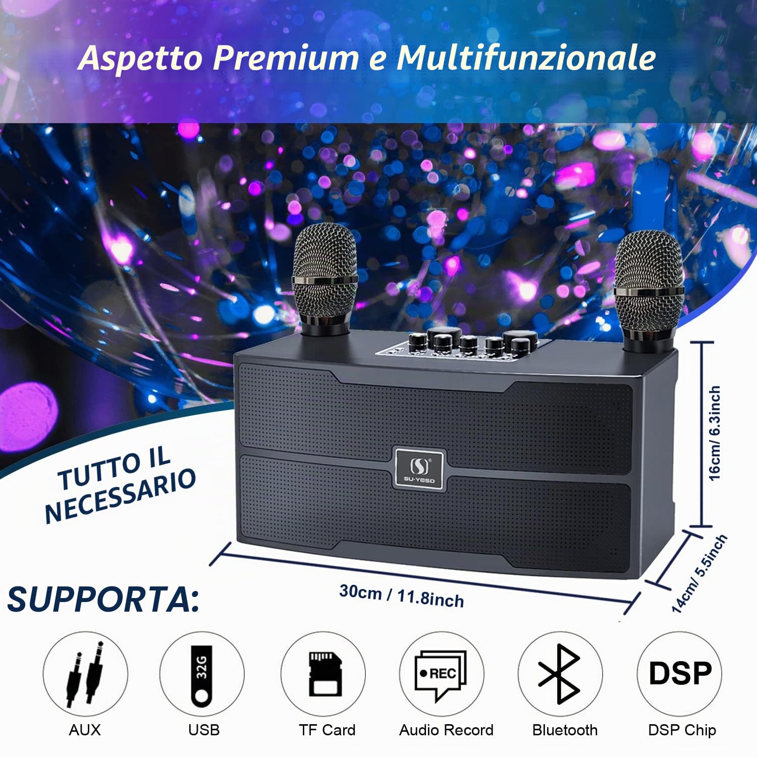 Karaoke Professionale 20W Con Microfono - Sistema PA Bluetooth Con 2 Microfoni Wireless HD - Cassa Per Riunioni Di Famiglia, Matrimoni