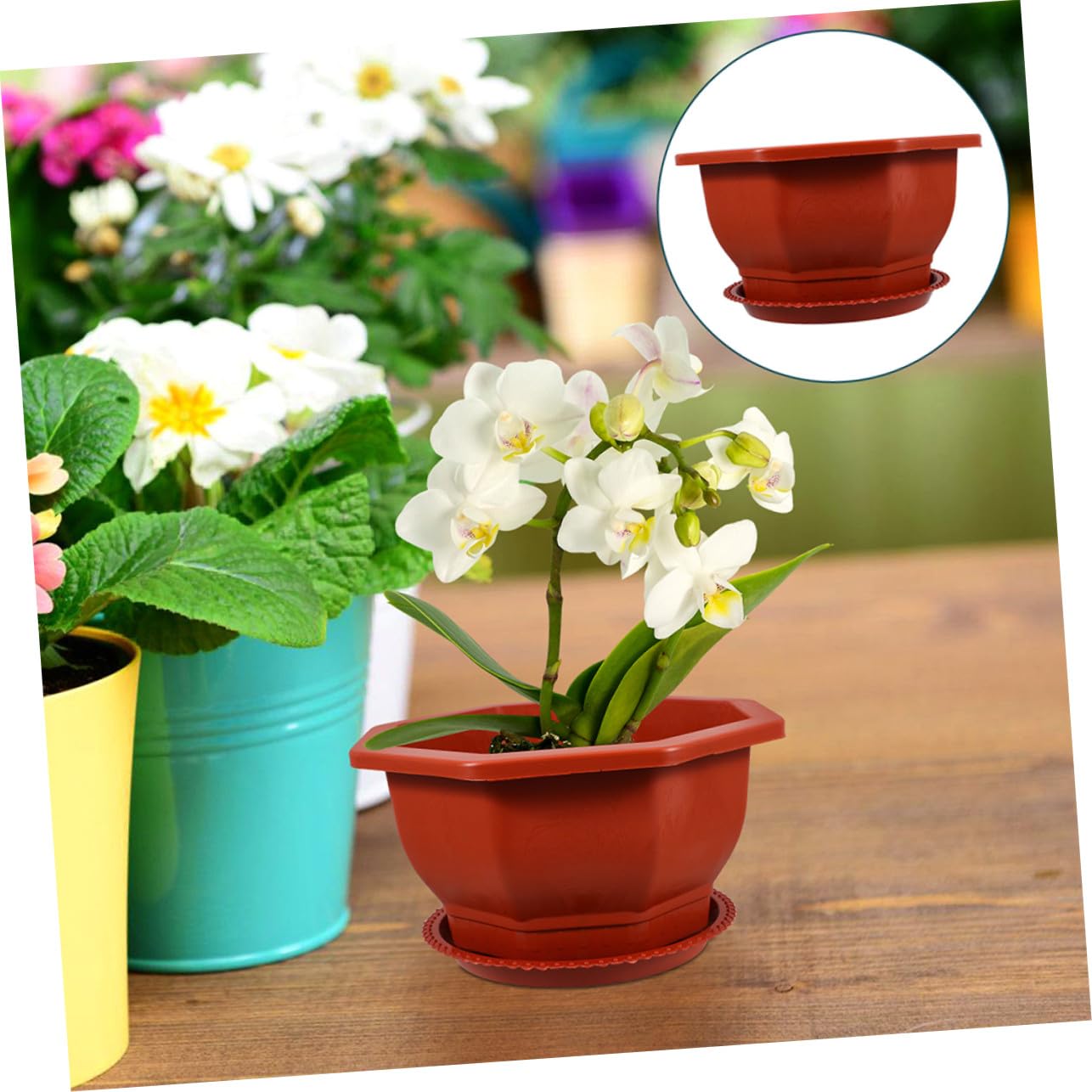 Rouges en PP Pots Octogonaux Faciles à Nettoyer et Entretenir Lot de 5 pour Plantes Succulentes pour Décoration de Jardin Extérieur