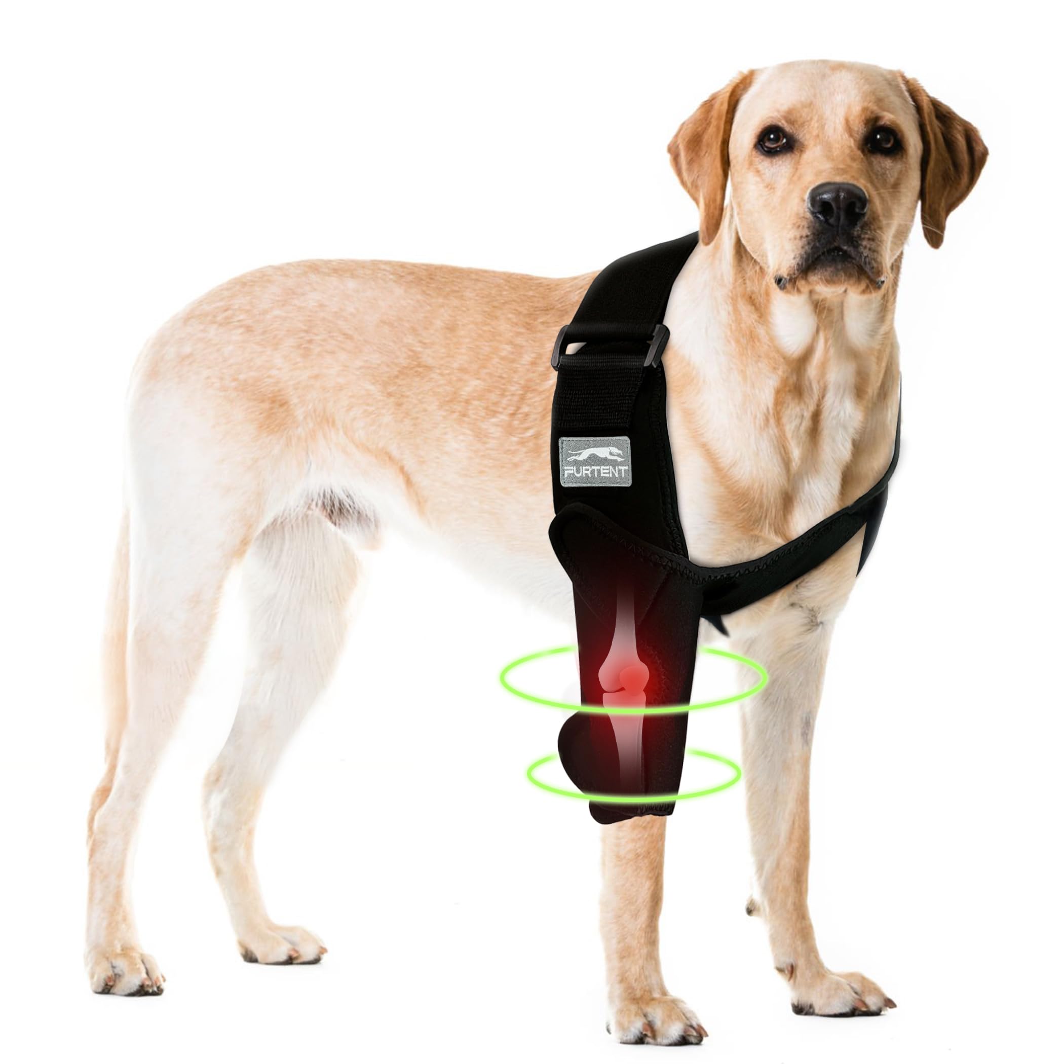 Furtent Dog Front Leg Brace