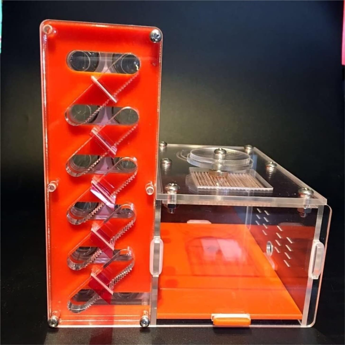 Formicario para Hormigas, Hormiguero con Zona De Alimentación Y 12 Tubos Ensayo, Vidrio Acrílico, Naranja, 15 cm
