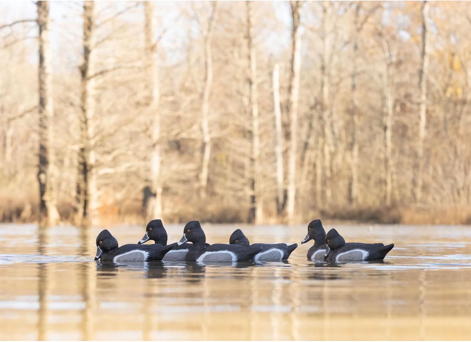 Higdon Outdoors Battleship Ringneck Duck Decoys | Unsinkable with Swivel Heads & Weighted Keels | High-Contrast Visibility| Durable & Easy-Set Floating Design | Foam Filled | 6pk | All Drakes